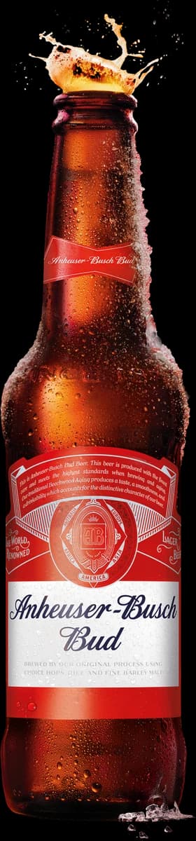 Flasche Anheuser-Busch Bud